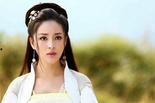 娱乐吃瓜君张馨予小说,揭秘娱乐圈背后的秘密与真相